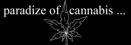 paradise of cannabis